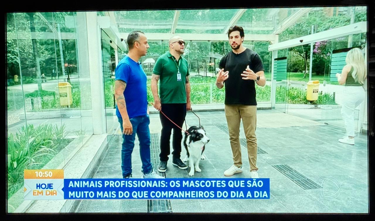 Foto 6