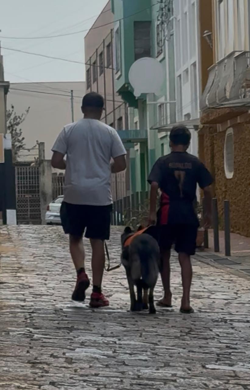 Cão de intervenção comportamental