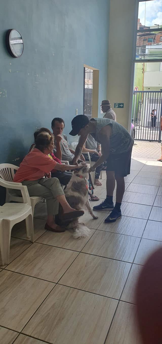 Foto 12