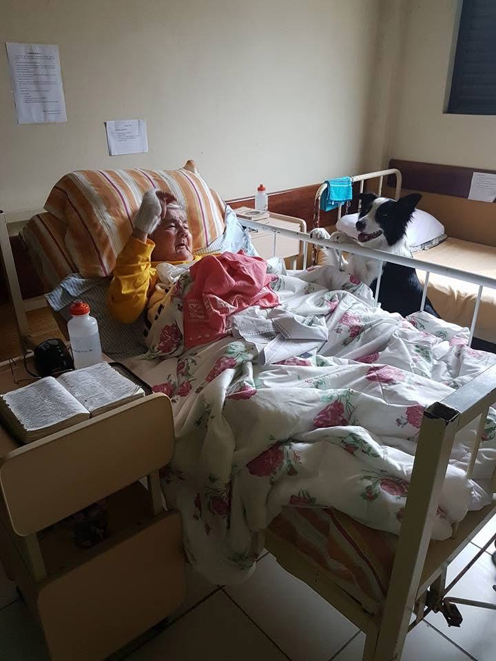 Foto 46