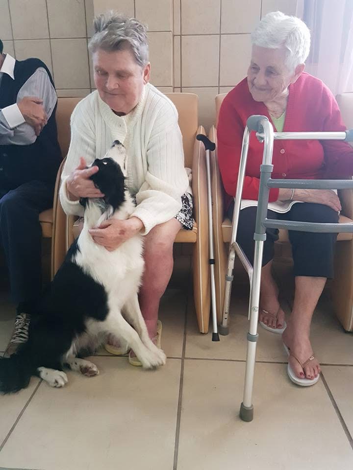 Foto 47