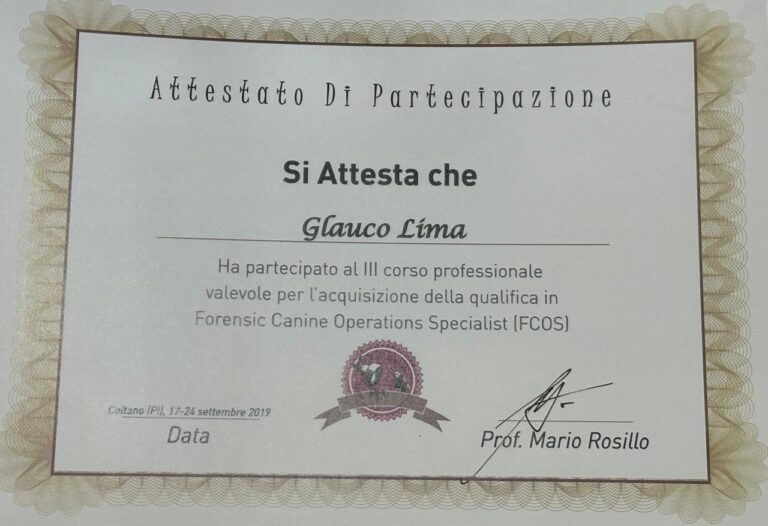 Certificado 1
