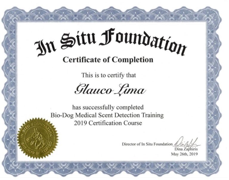 Certificado 12