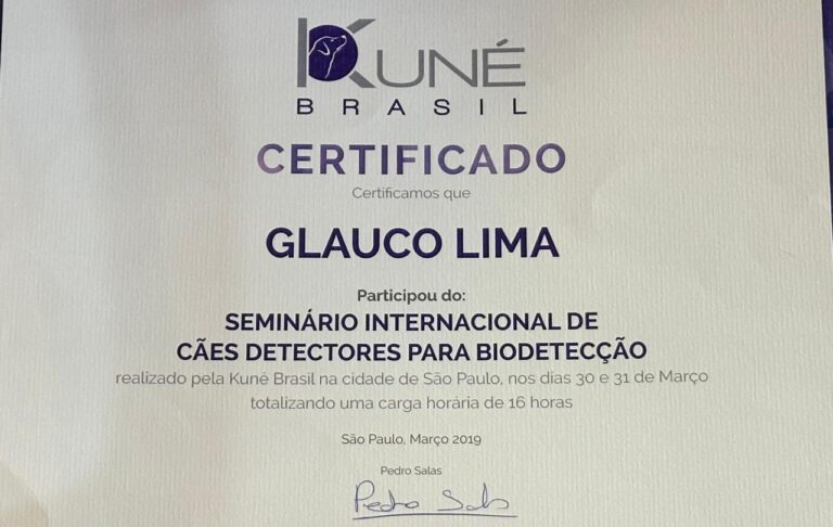 Certificado 11
