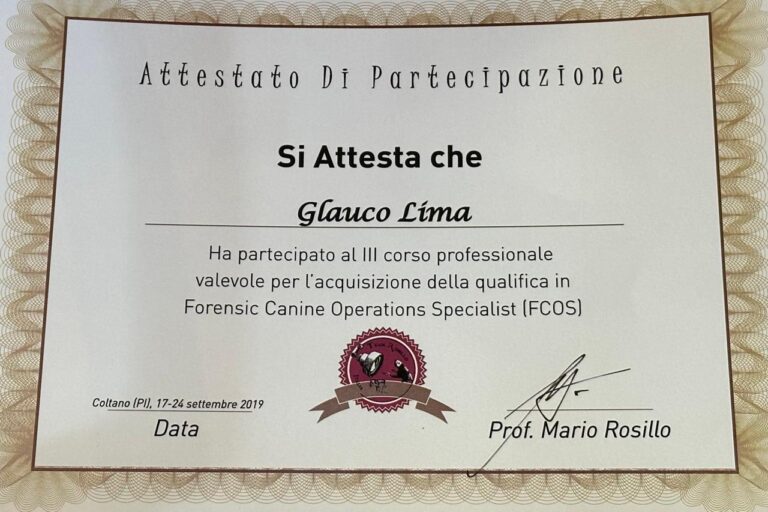 Certificado 10