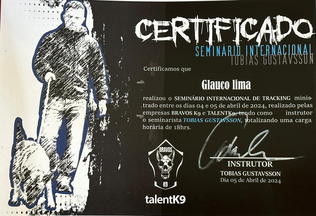 Certificado 7