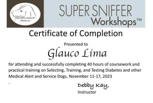 Certificado 5