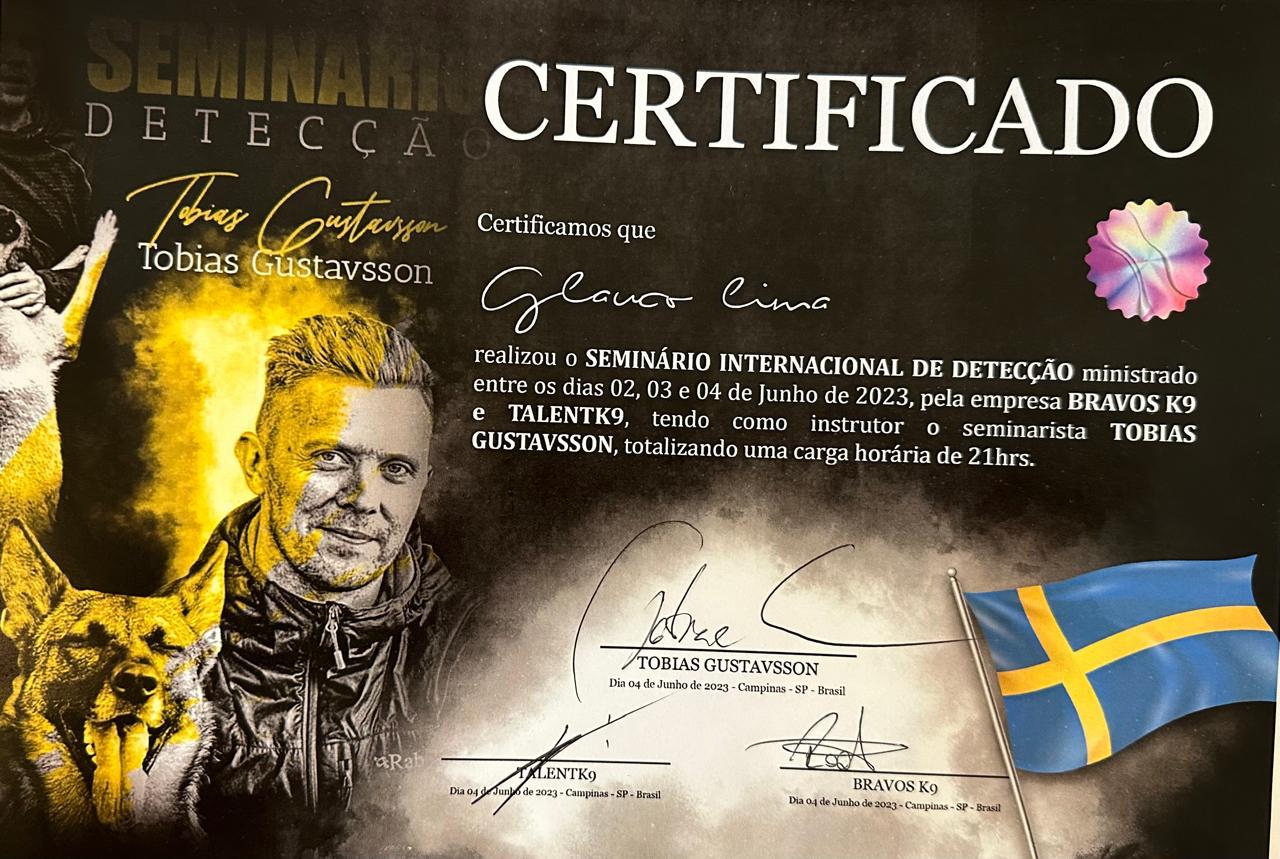 Certificado 6