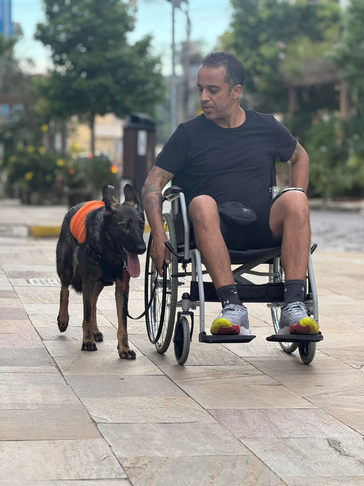 Deficiência Motora