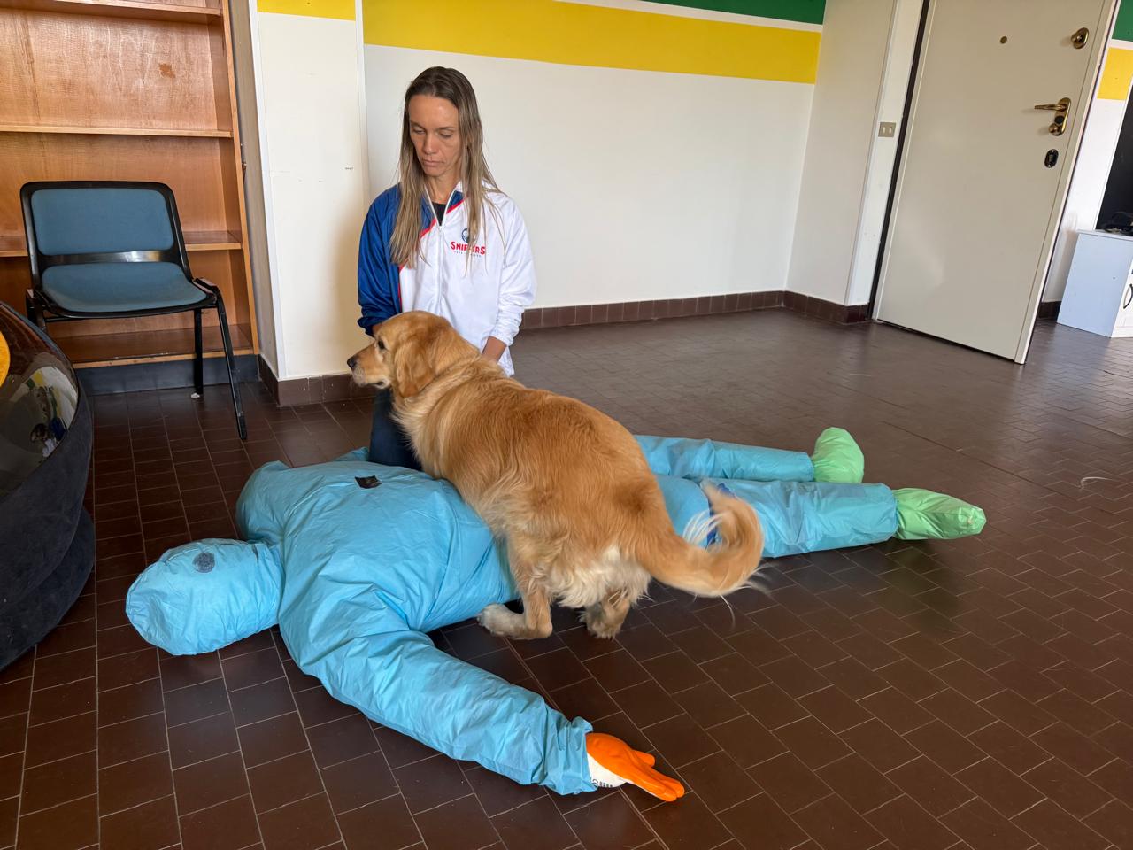 Assistência para Epilepsia