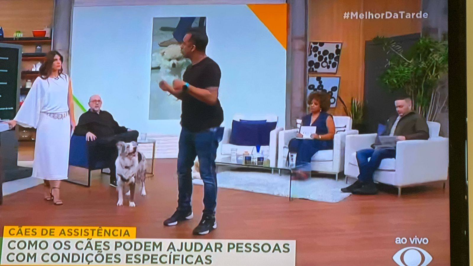 Foto 42