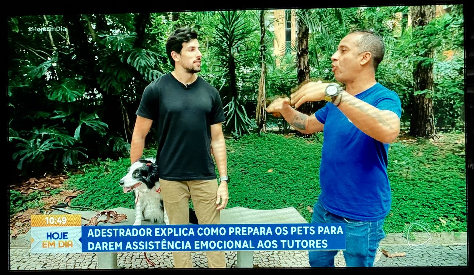 Foto 44