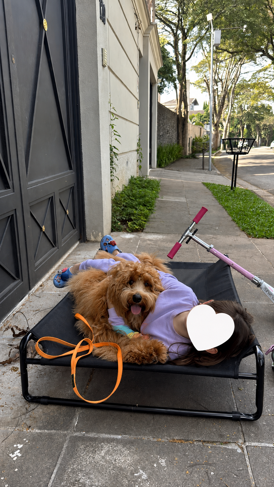 Filha de Renata Cardoso com o cão Chico